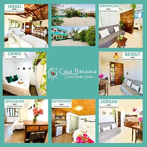 Cabo Bohemia Tropical Garden , Cabo San Lucas Mexico